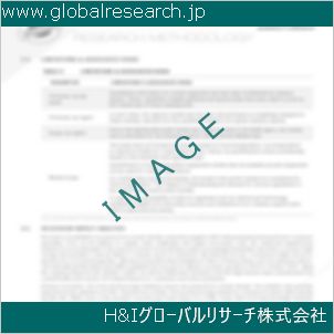 グローバルリサーチ調査資料のイメージ